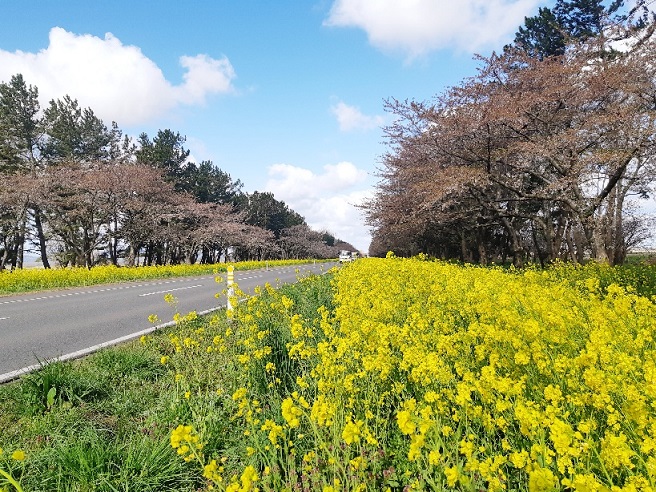 2021年4月26日