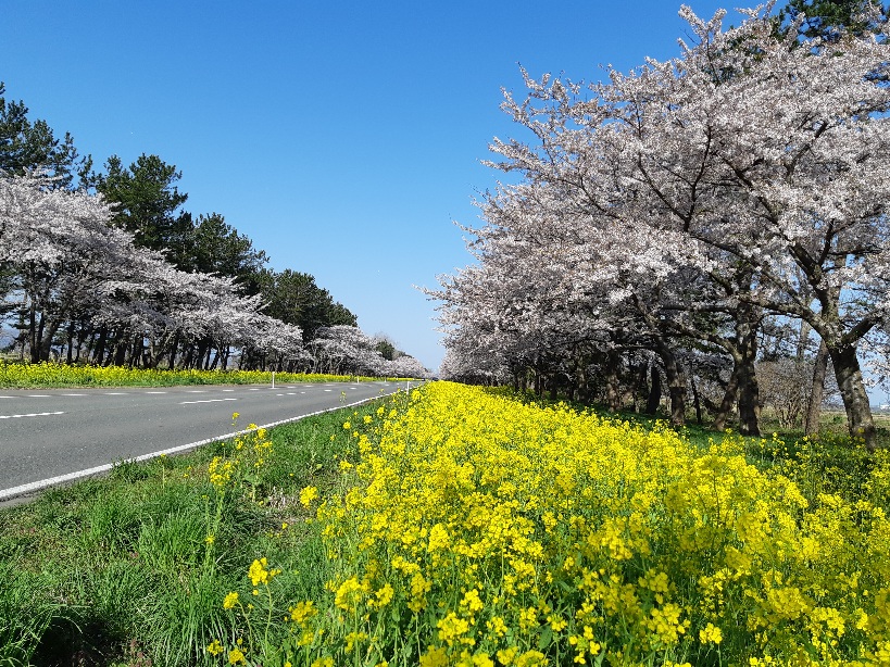 2021年4月23日