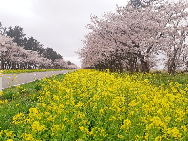 2021年4月20日