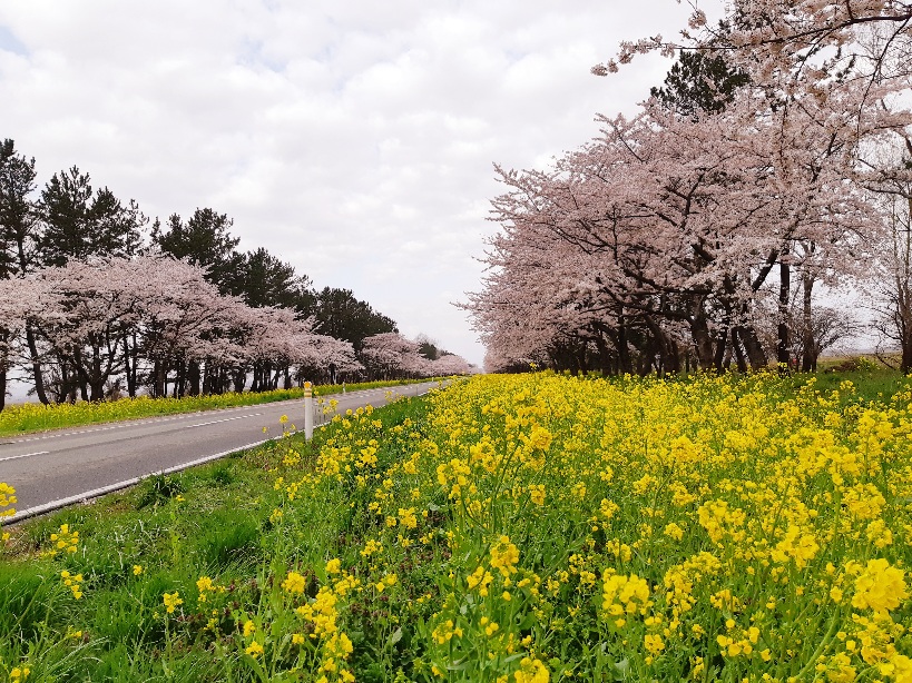 2021年4月19日