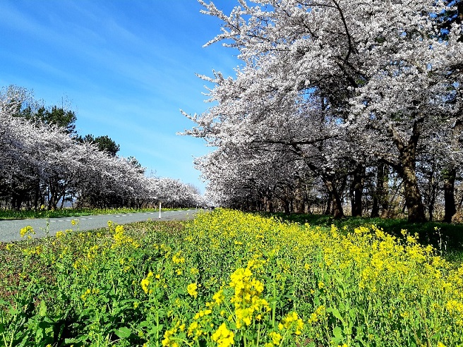 2021年4月16日