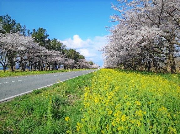 2021年4月15日