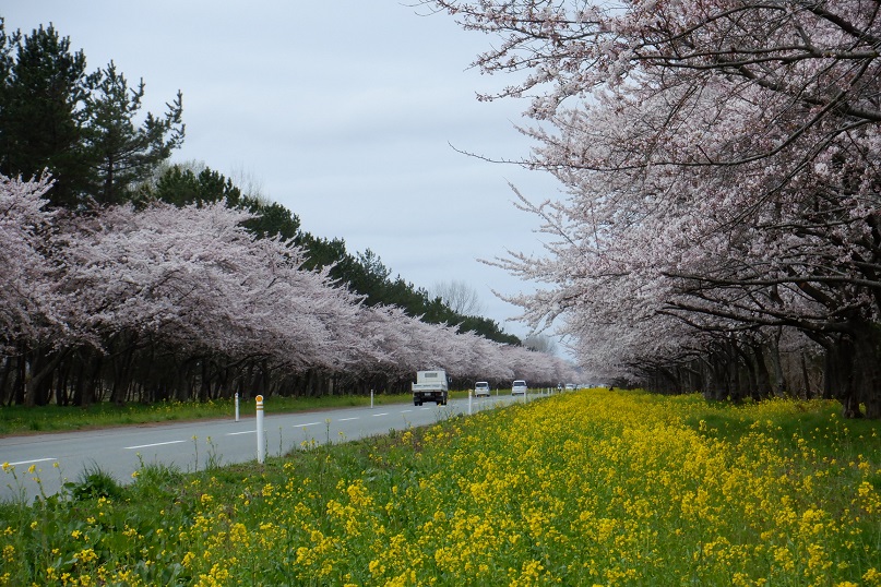 2021年4月14日