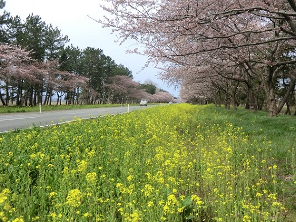 2021年4月13日