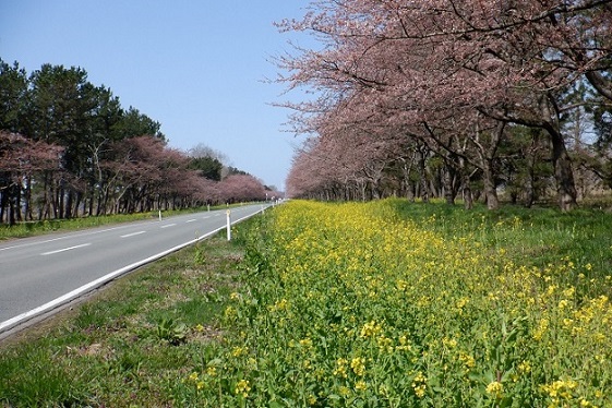 2021年4月12日