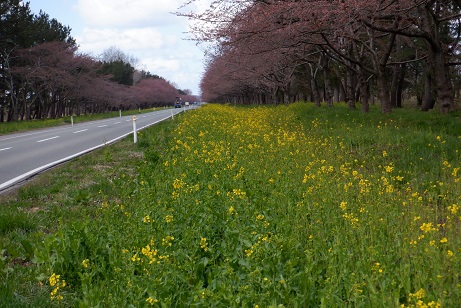 2021年4月9日