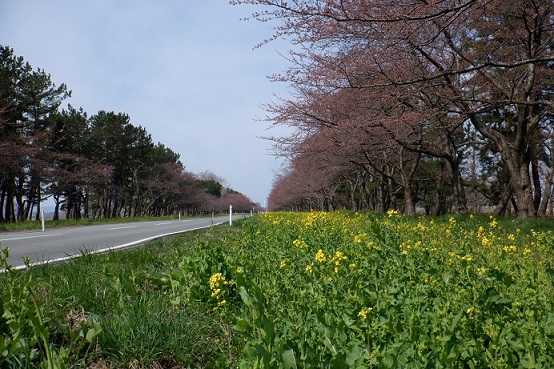 2021年4月8日