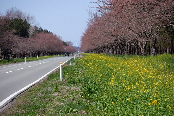 2021年4月7日