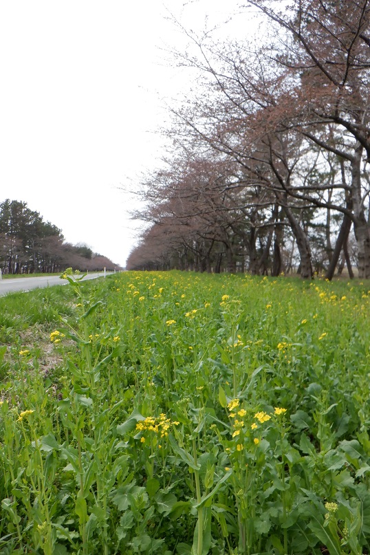 2021年4月6日