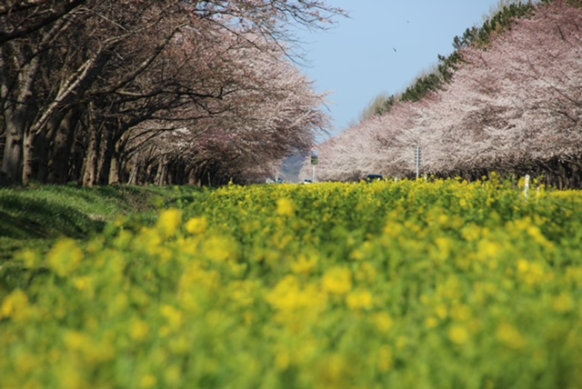 2022年4月20日