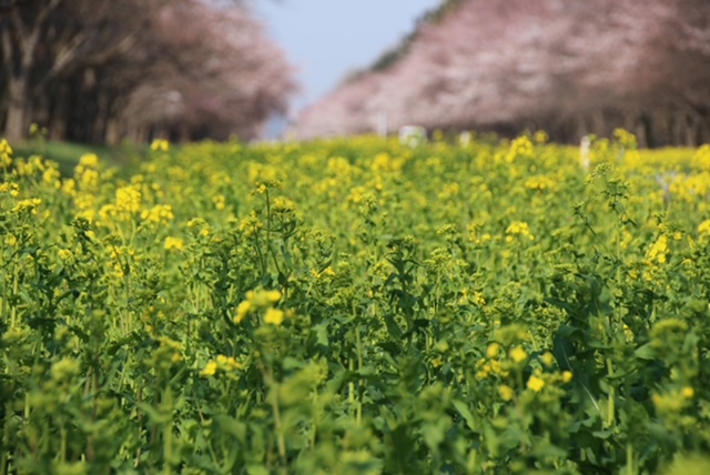 2022年4月19日