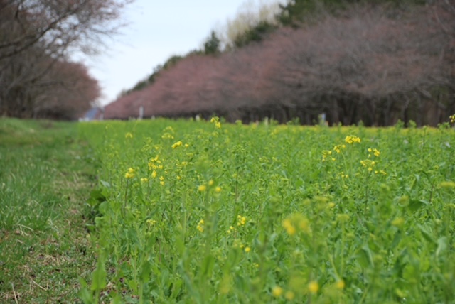 2022年4月15日