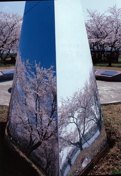 「桜咲く南の池記念公園」九嶋祐