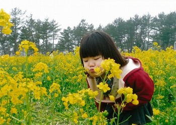 「菜の花さんこんにちはでCHU（チュ）」徳澤秀佳