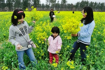 「楽しい摘み取り」加藤悦子