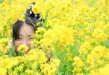 「笑顔色」土肥幸子