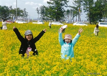 「お花畑でかくれんぼ」信田裕子