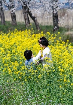 「思い出」斎藤かずみ