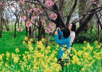 「花と戯れるII」畠山幸義