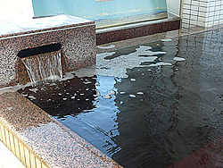 ホテル サンルーラル大潟の浴室