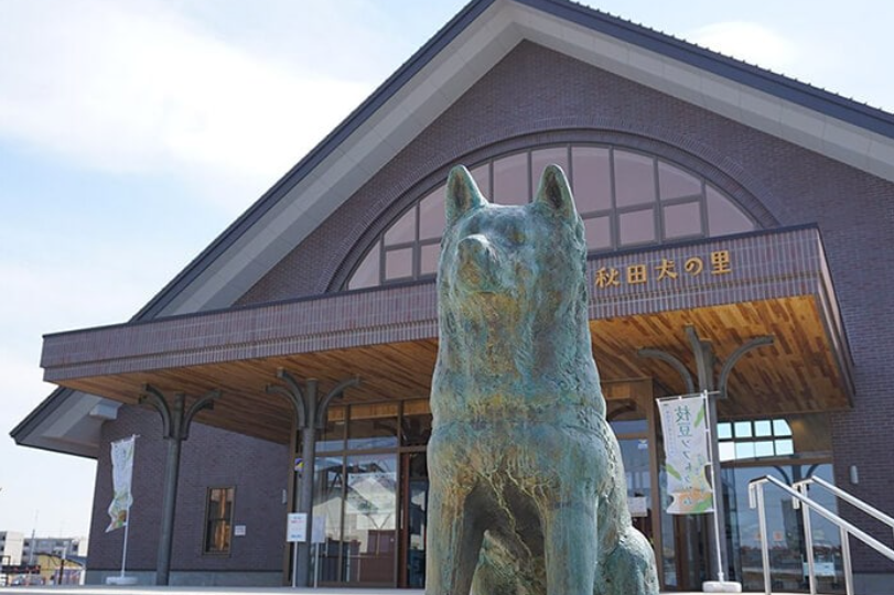 The Akita Dog Visitor Center, with a statue of Hachiko looking towards Odate train station