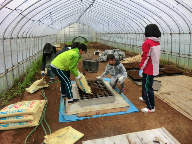 東京の女子中学生が農業体験の画像