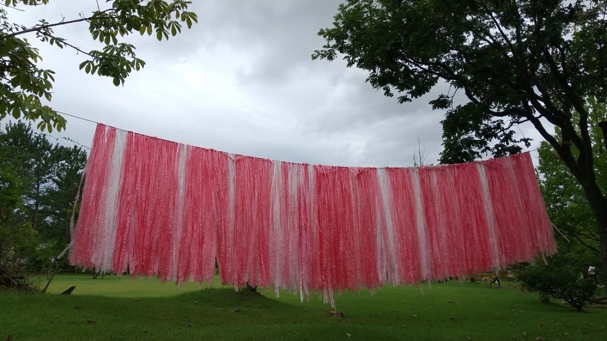 生態系公園の野外展の画像