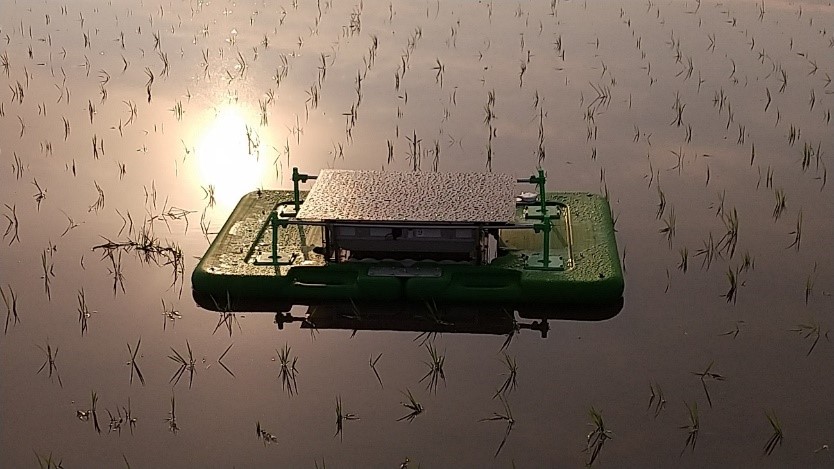 スマート農業（アイガモロボット）の画像